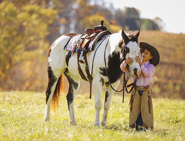 calf-roping-paint-horse