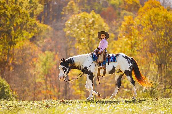 husband-safe-paint-horse