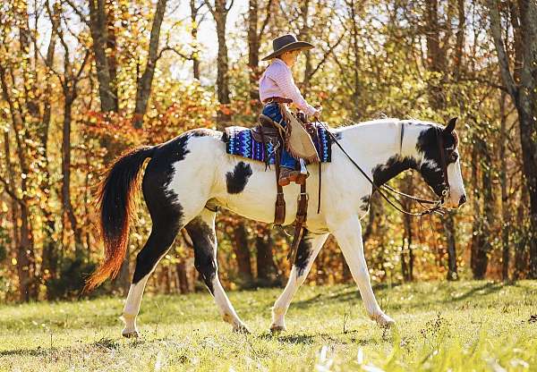 ranch-versatility-paint-horse