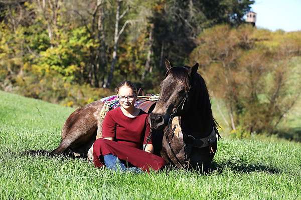 flashy-quarter-horse