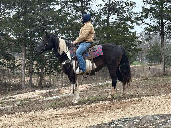 black-white-paint-horse