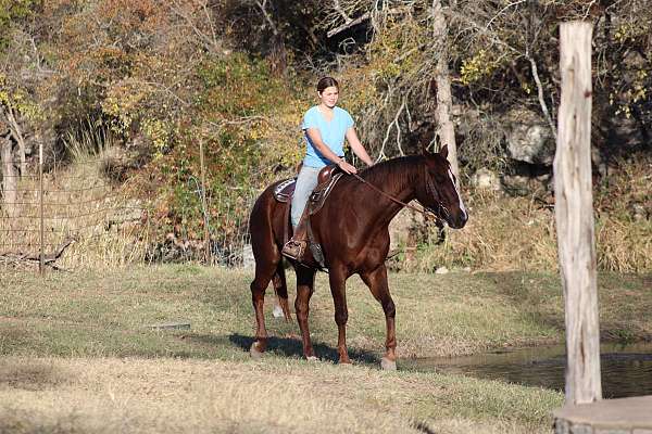 drill-team-quarter-horse