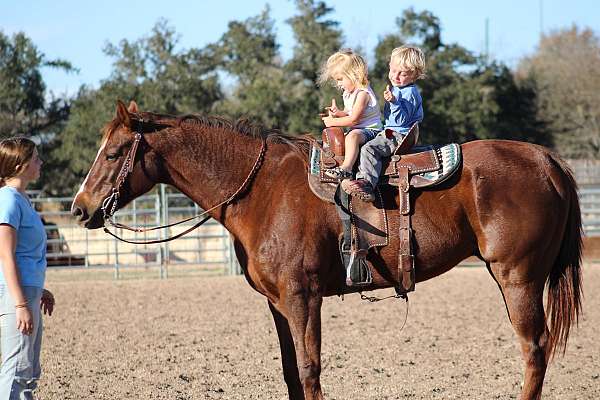 kid-safe-quarter-horse