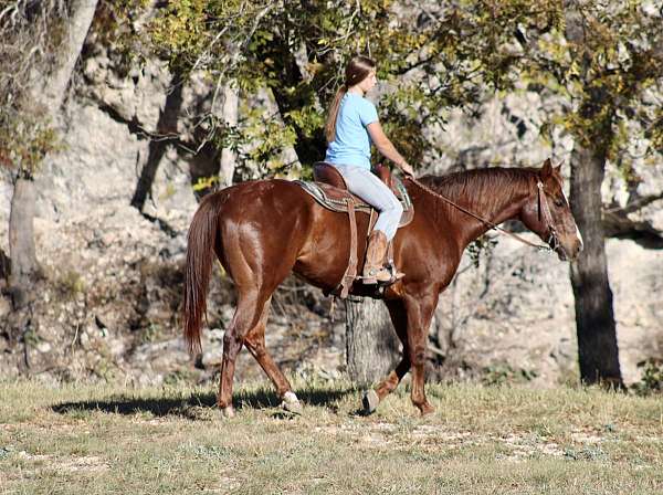 youth-quarter-horse