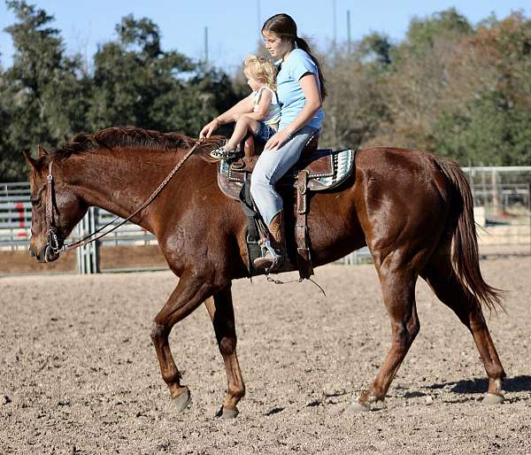 trail-riding-quarter-horse