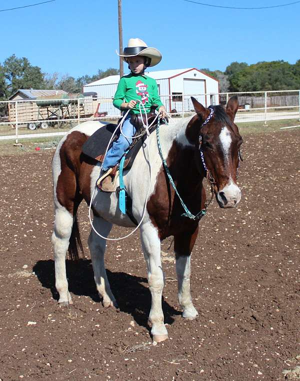 drill-team-paint-horse