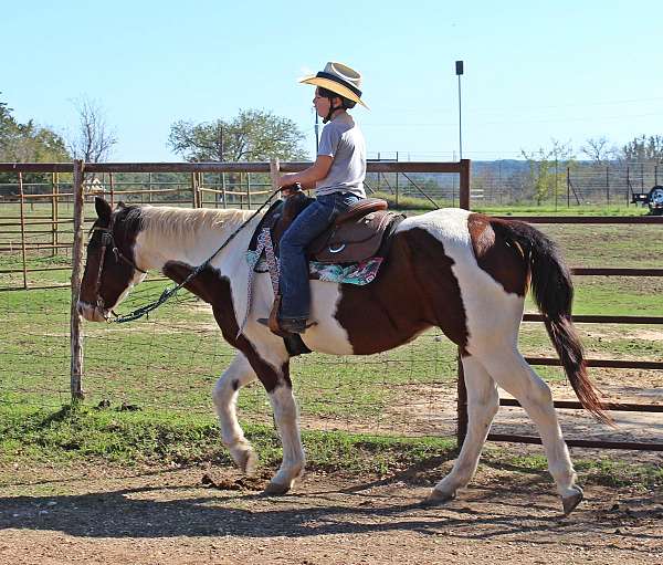 ranch-versatility-paint-horse