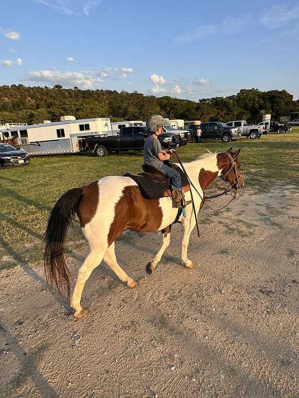 ranch-work-paint-horse