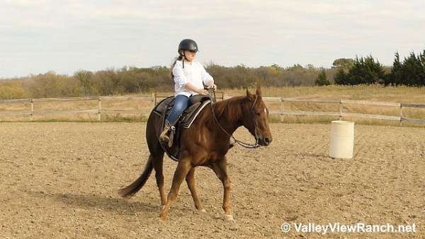 ranch-quarter-horse