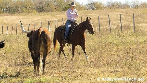 cutting-quarter-horse