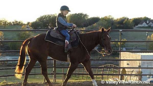 ranch-work-quarter-horse