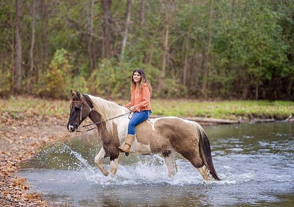 pinto-grulla-paint-horse