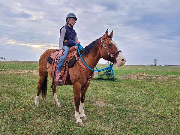 dun-w-blk-points-therapy-horse