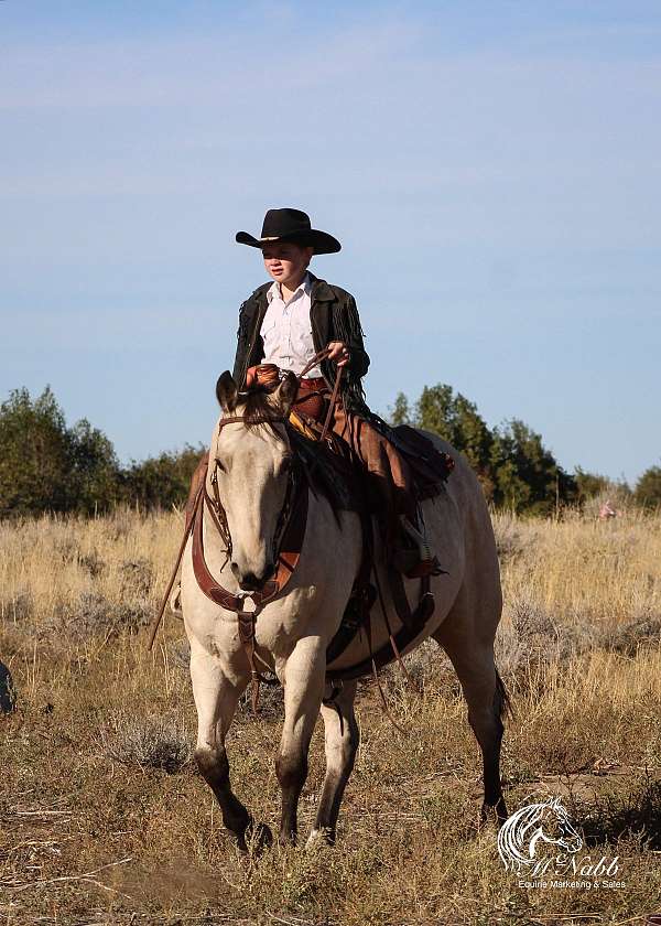 ranch-work-draft-horse