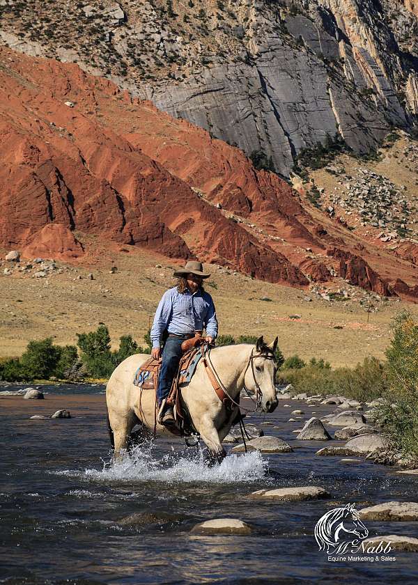 trail-riding-draft-horse