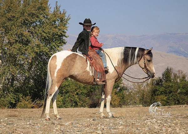 flashy-pinto-horse