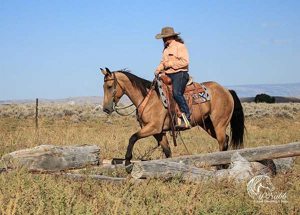 roping-quarter-horse