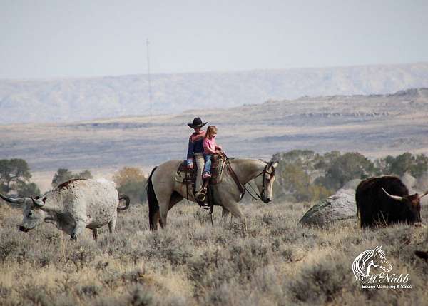 ranch-work-quarter-horse