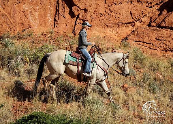 trail-riding-quarter-horse