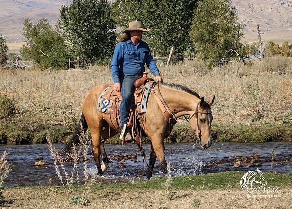 ranch-work-quarter-horse