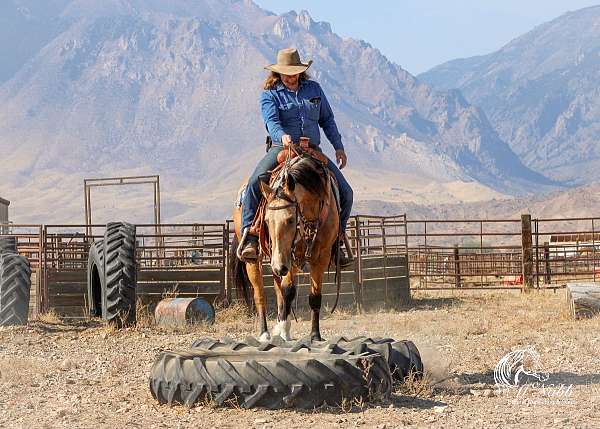 trail-riding-quarter-horse