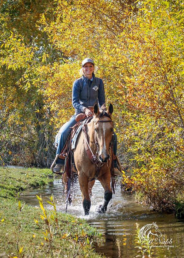 roping-quarter-horse