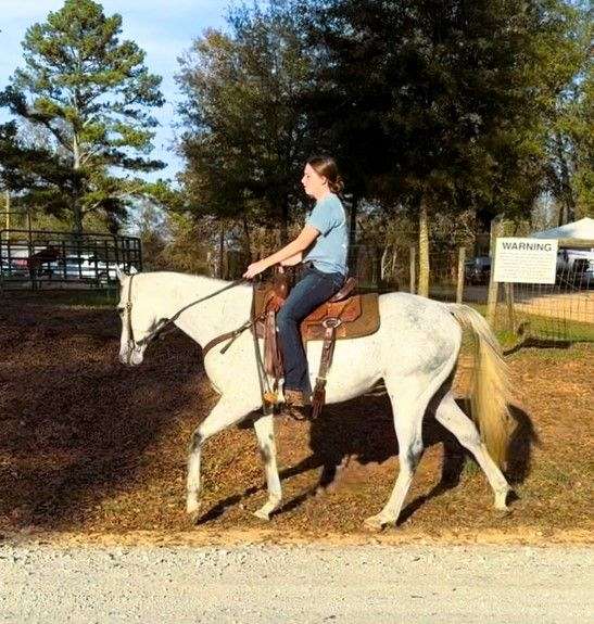 husband-safe-appendix-horse