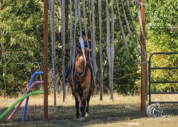 ranch-work-poa-horse