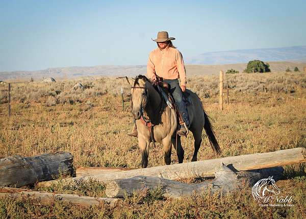 athletic-quarter-horse