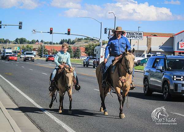 trail-riding-quarter-horse