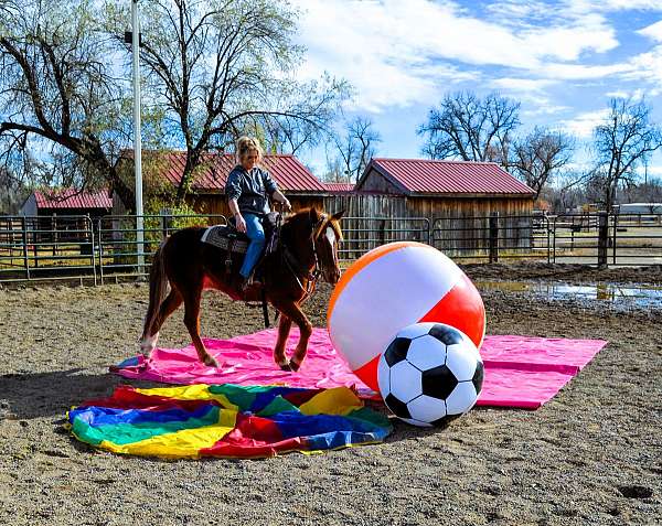 flashy-mustang-horse