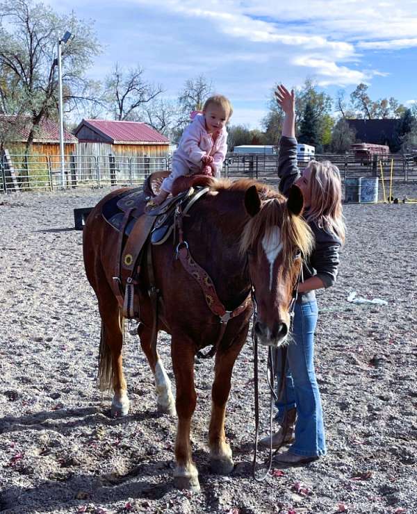 family-mustang-horse