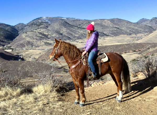 ranch-mustang-horse