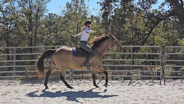 cowboy-mounted-shooting-quarter-horse