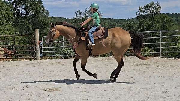 drill-team-quarter-horse