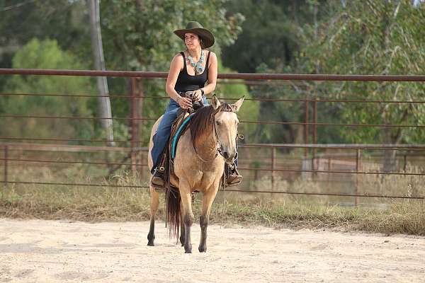 barrel-quarter-pony