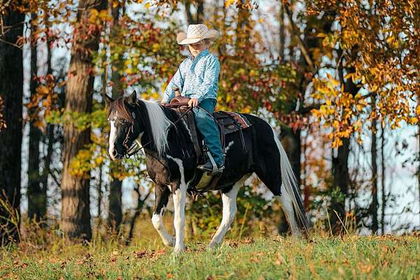 beginner-safe-quarter-pony