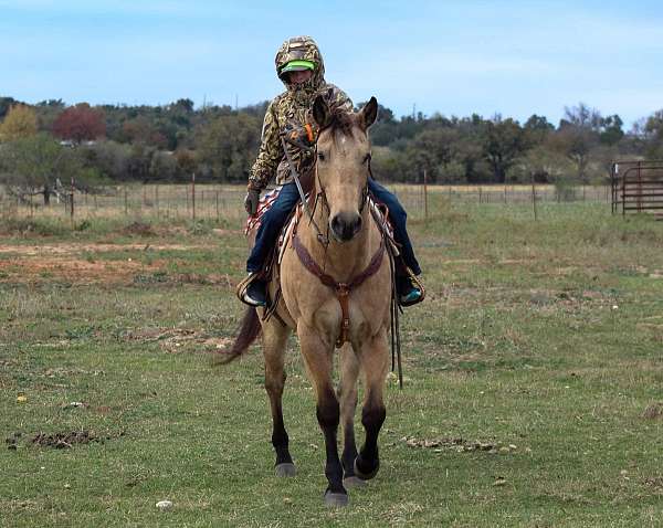 all-around-quarter-horse