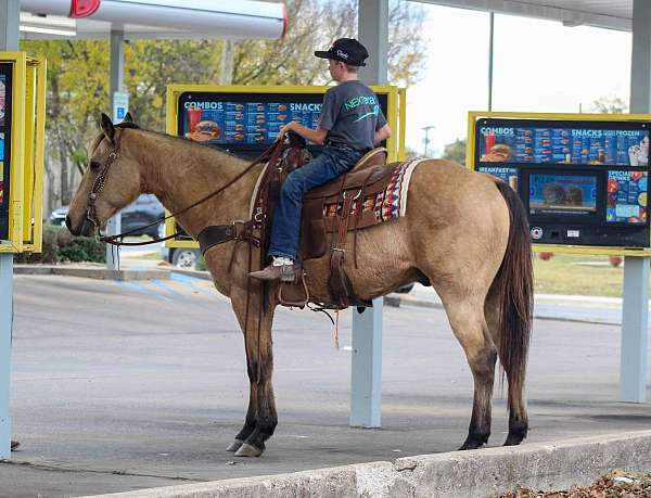 kid-safe-quarter-horse