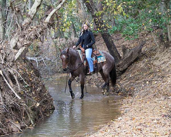 kid-safe-quarter-horse