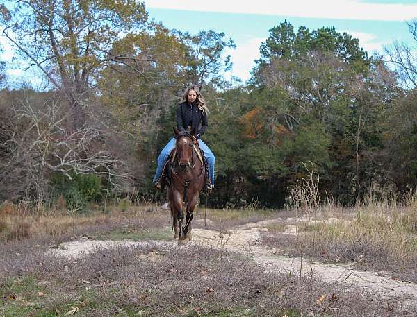 ranch-quarter-horse