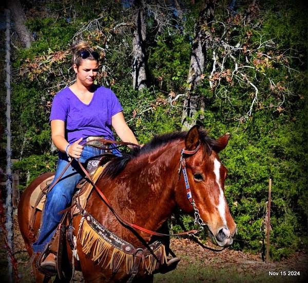 trails-coggins-quarter-horse