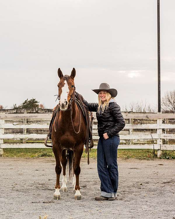 calf-roping-quarter-horse