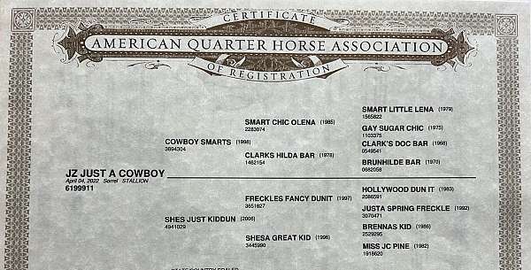 ranch-versatility-quarter-horse