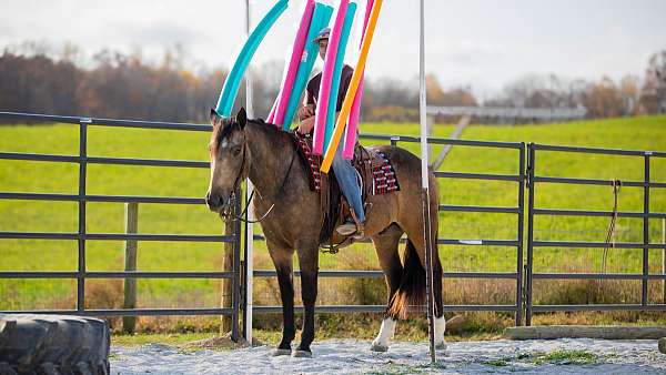 trail-riding-draft-horse