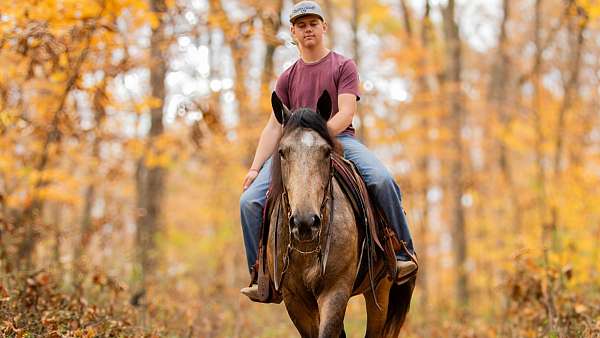 buckskin-athletic-horse