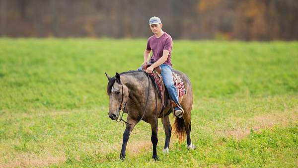 buckskin-trail-horse