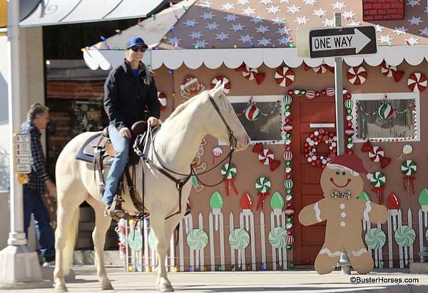 ranch-work-quarter-horse