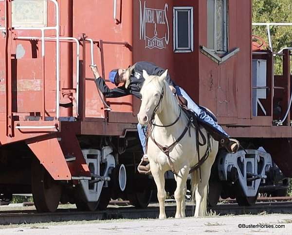 ranch-quarter-horse