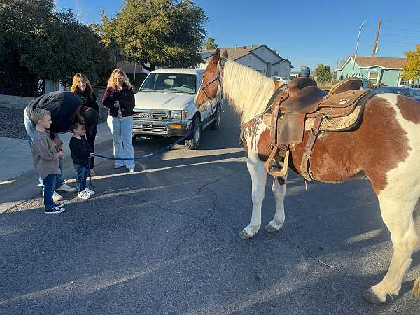 chestnut-tobiano-horse